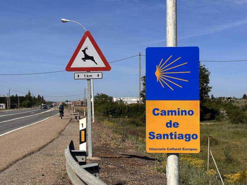 路邊藍色的 Camino de Santiago 貝殼路牌