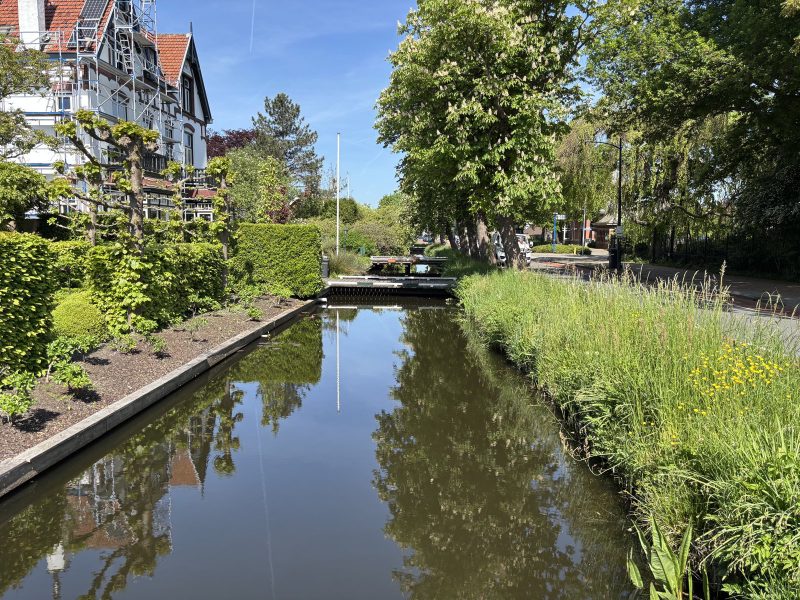 Aalsmeer,路邊的水道。