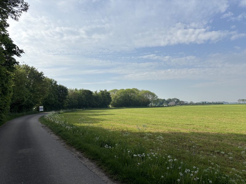 Zutphen 外的鄉間小路。