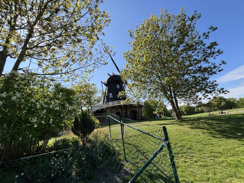 公園裡的 Slottsmöllan 風車。