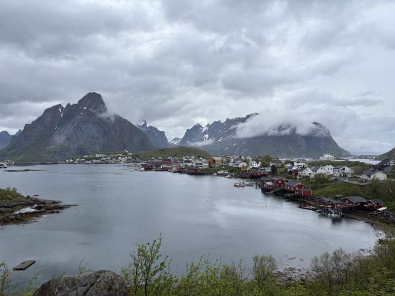 Reine 的海灣,紅色的漁屋和山。