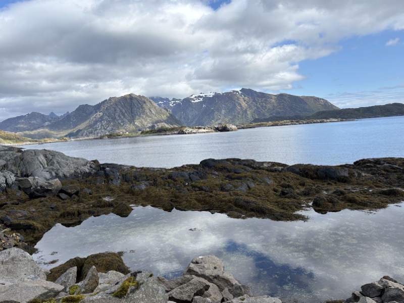 礁石水窪,遠處是山和峽灣。