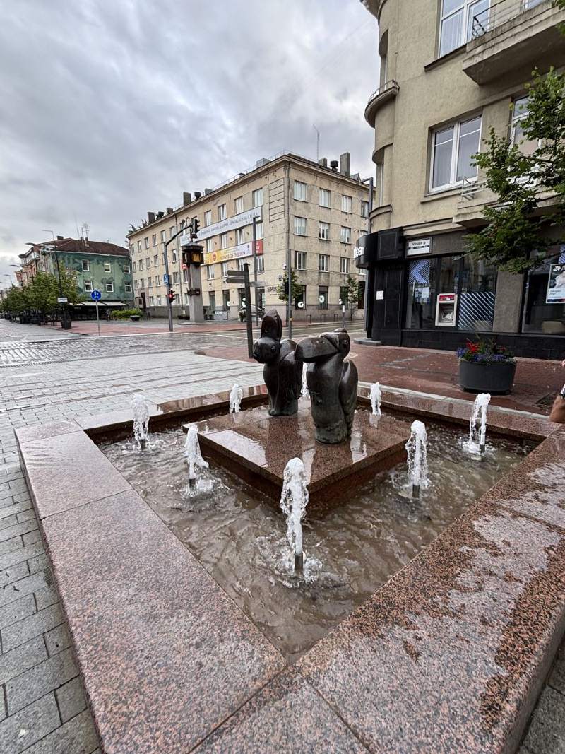 Šiauliai 廣場上的噴泉和銅像。