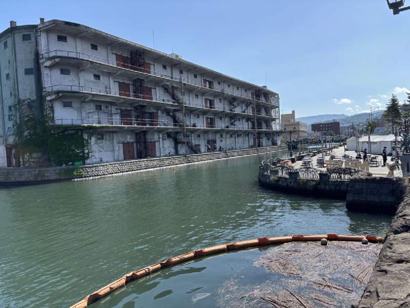 11:06,小樽運河的北段。