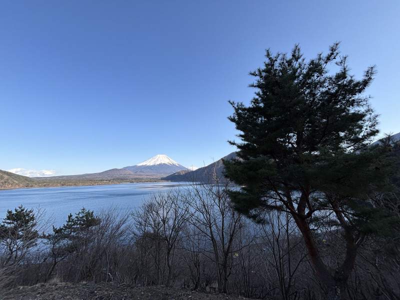 16:05,本栖湖西北岸,松樹與富士山。