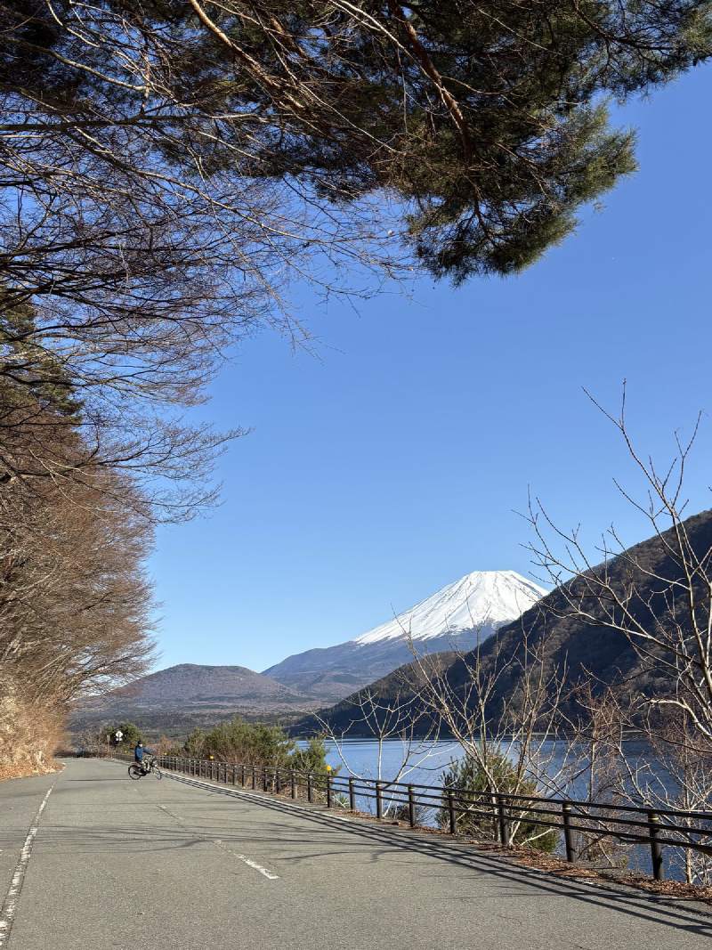 15:53,本栖湖西岸的路,富士山從松枝底下露出來。