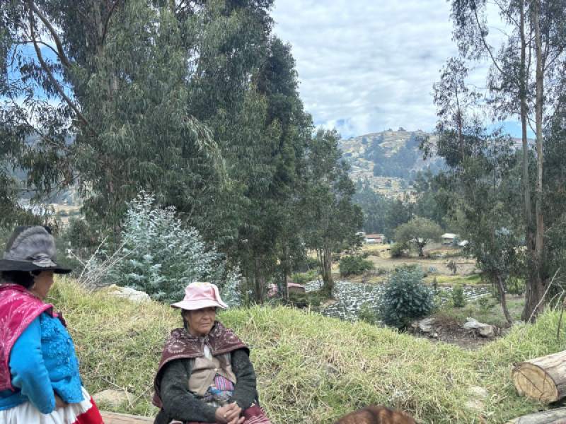 10:30,草坡上兩位穿傳統服裝的女士,後面是尤加利樹和山谷。