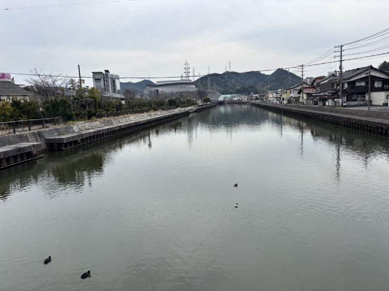 09:53,運河一樣的河,水面上有幾隻水鳥,兩岸是房子。