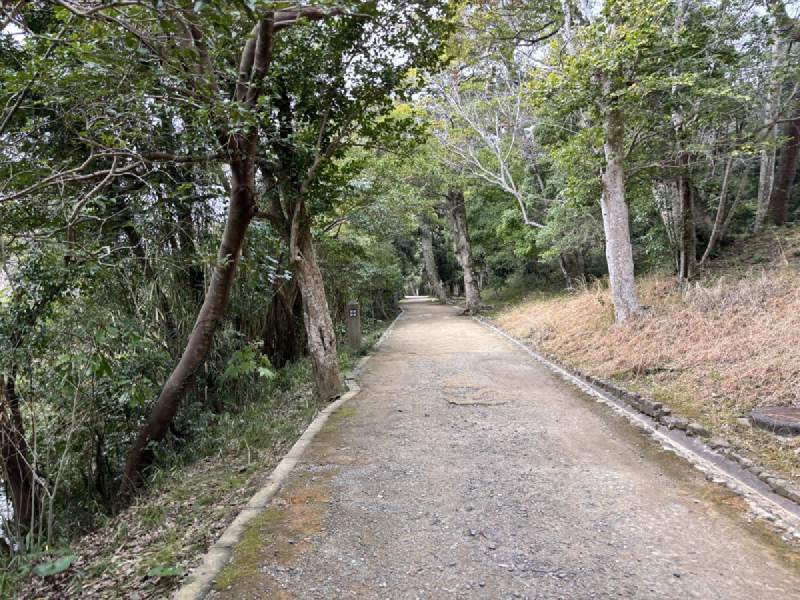 15:11,樹林裡一條碎石小路。