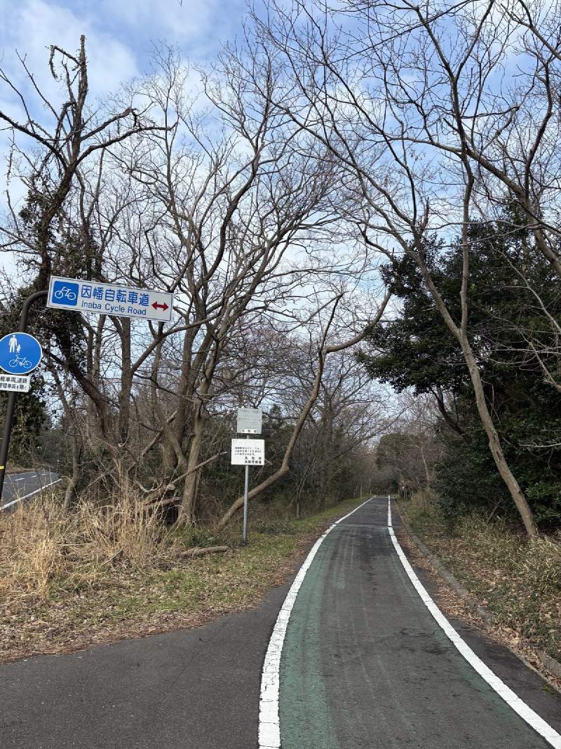 因幡自行車道,三月的樹林還是光禿禿的。