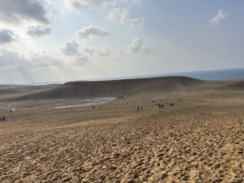 鳥取砂丘。遠處那道大沙脊叫「馬背」,後面就是日本海。