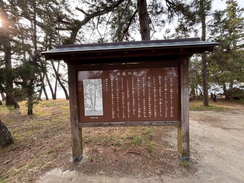 16:06,松林裡一塊木頭說明牌。