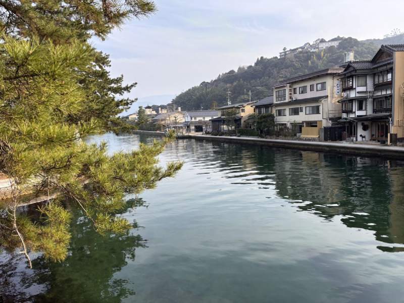 16:30,運河一樣的水面,松枝垂在上面,對岸是一排旅館。