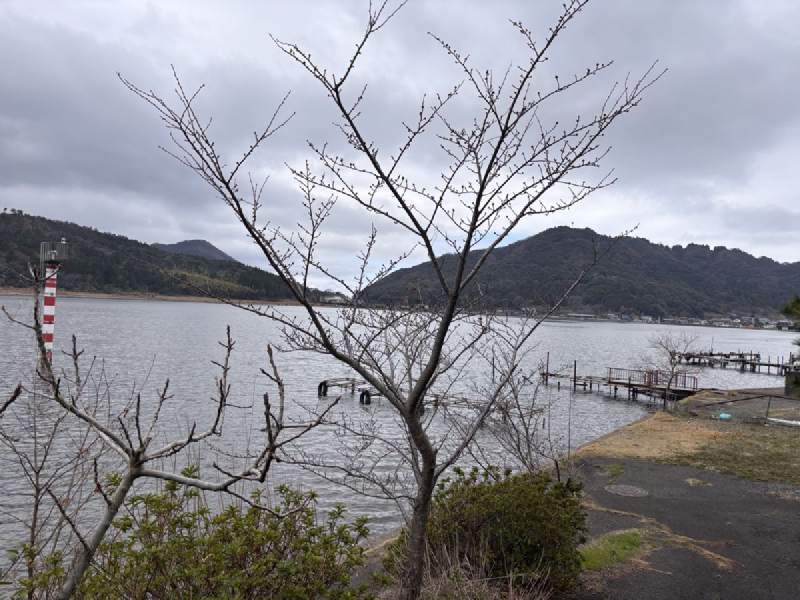 13:17,湖邊一棵光禿禿的樹,對岸是山,岸邊有碼頭。
