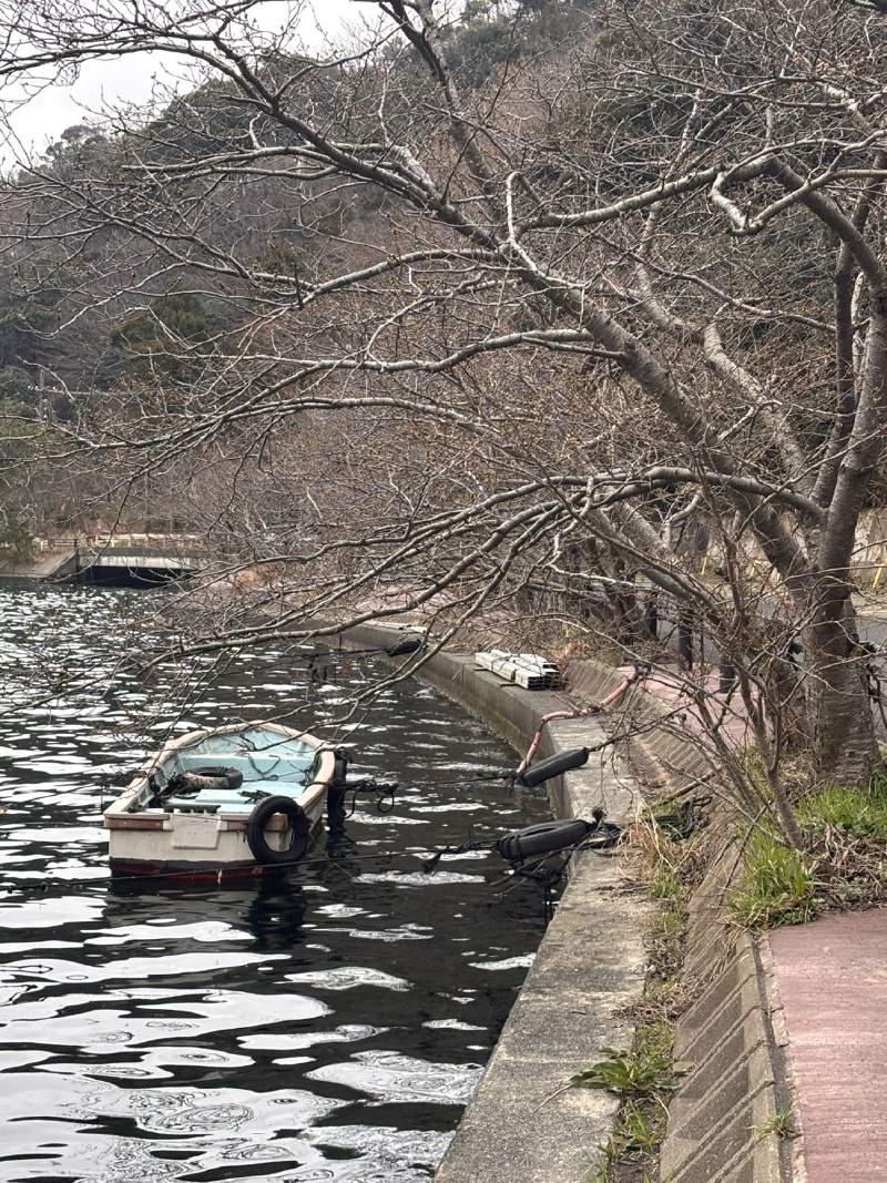 13:50,窄窄的水道,小船停在岸邊,兩旁是光禿禿的樹。