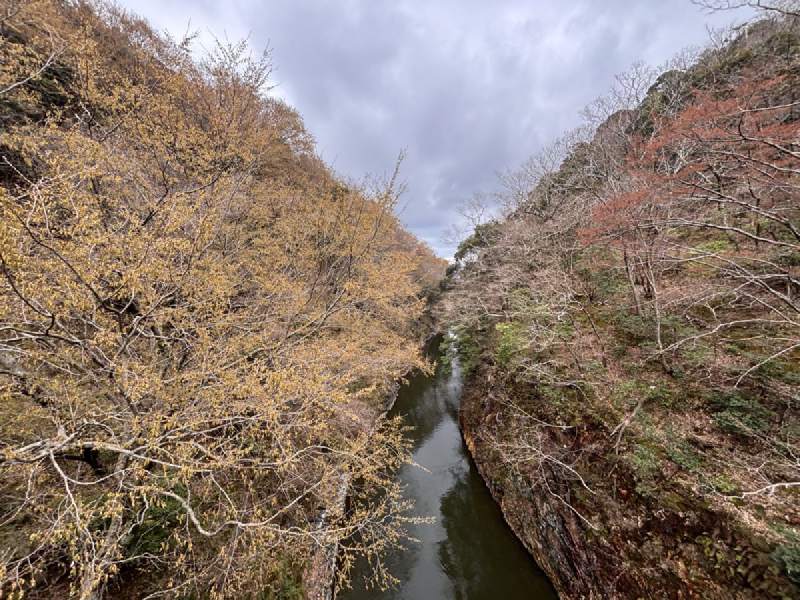 14:19,水道從兩邊的岩壁中間穿過去,岩壁上長著枯黃的樹。