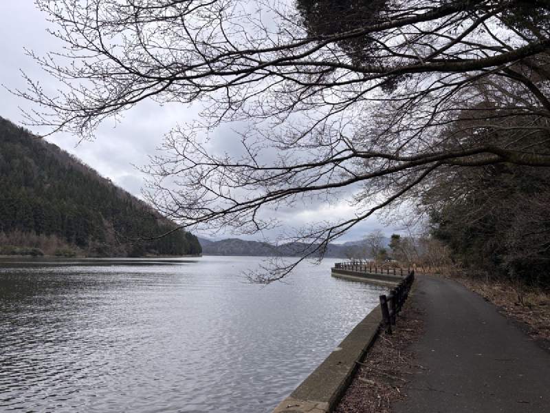 14:31,光禿禿的樹枝底下,湖岸的小路往前彎。