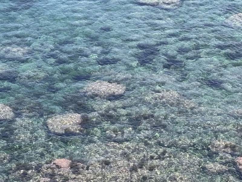 11:56,從上往下看,海水清澈,海底的石頭看得很清楚。