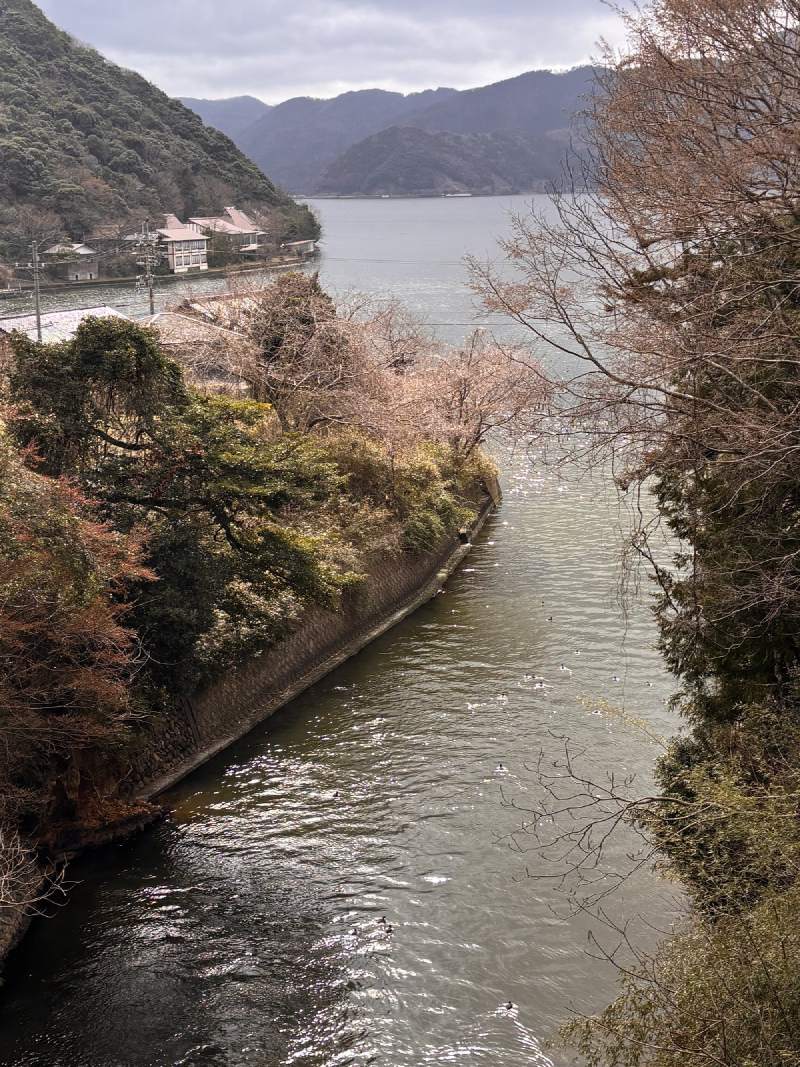 從高處往下看浦見川,窄窄的水道連著水月湖和久久子湖。