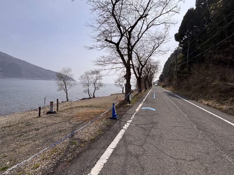 13:08,湖邊的路和一棵光禿禿的樹,地上有藍色的路線標示。