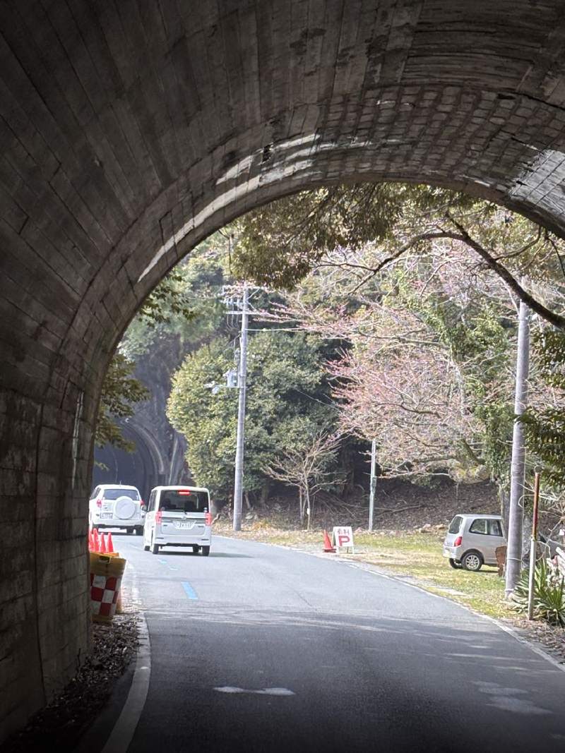 13:42,隧道口的圓拱,隧道外是馬路和開花的樹。