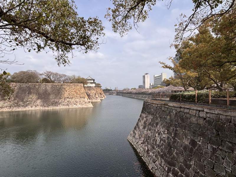 14:53,護城河邊一道石牆,對岸的樹開著花,後面是大樓。