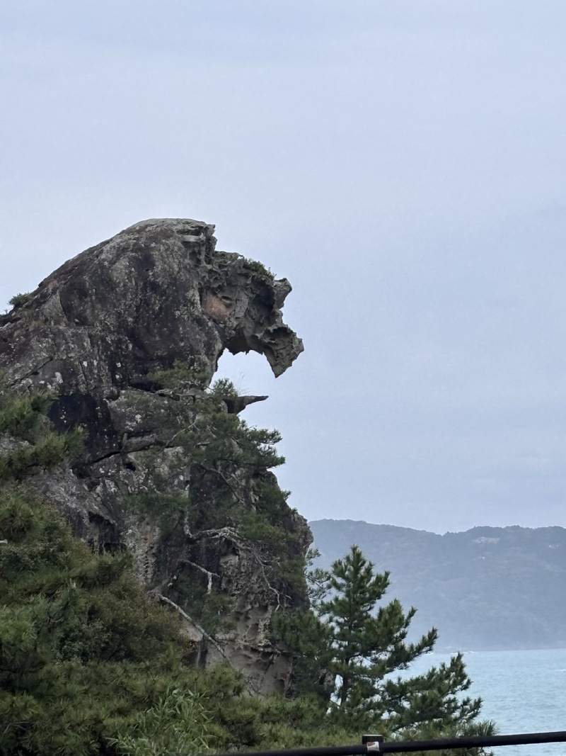 獅子岩:岩石仰頭張口,對著灰色的海,吼了不知道幾萬年。