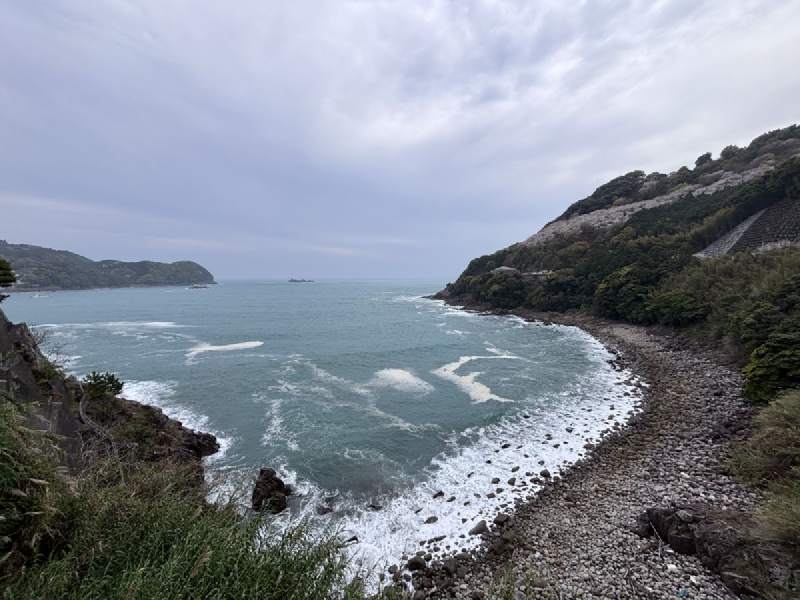 海灣彎成一道弧,浪一條一條地白,拍上卵石灘,又退回去。