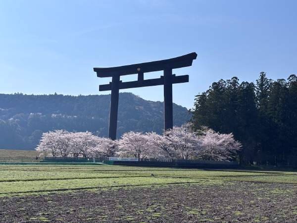 2026 日本——第 4 站 熊野古道(騎公路、走 7 公里,領一張 Dual Pilgrim 證書)