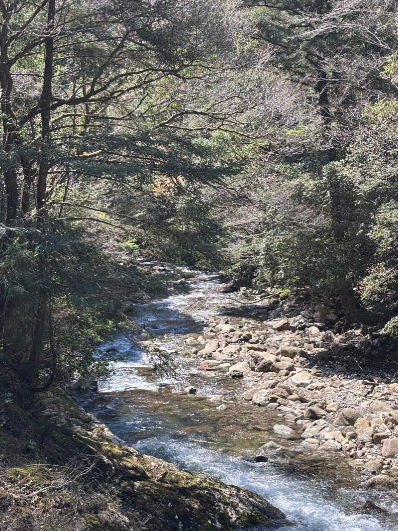 12:48,往本宮的路邊,溪水在石頭間翻白。