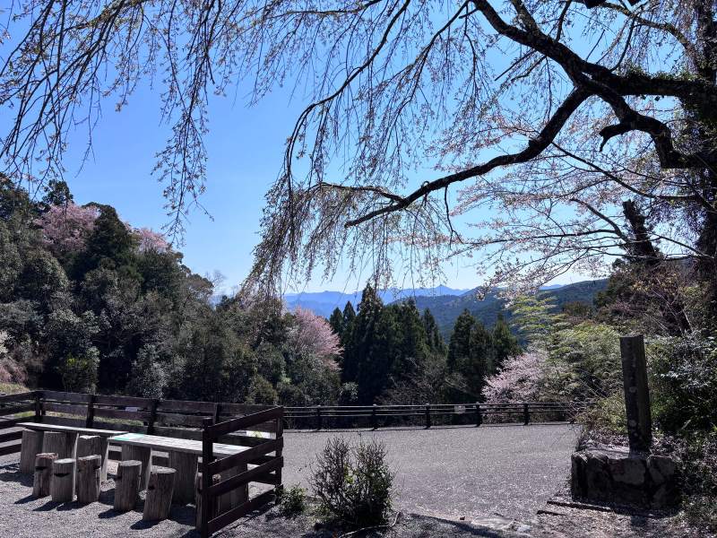 12:03,伏拜王子的休息點:木頭桌椅、垂枝櫻,遠山一層一層。