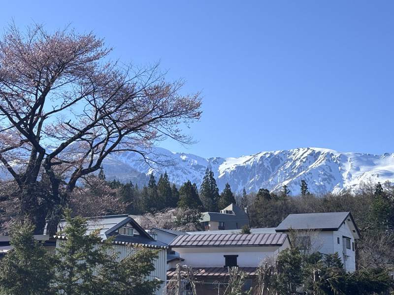 15:48,4 月 12 日的白馬,櫻花才剛開,稀稀疏疏一層淡粉紅。