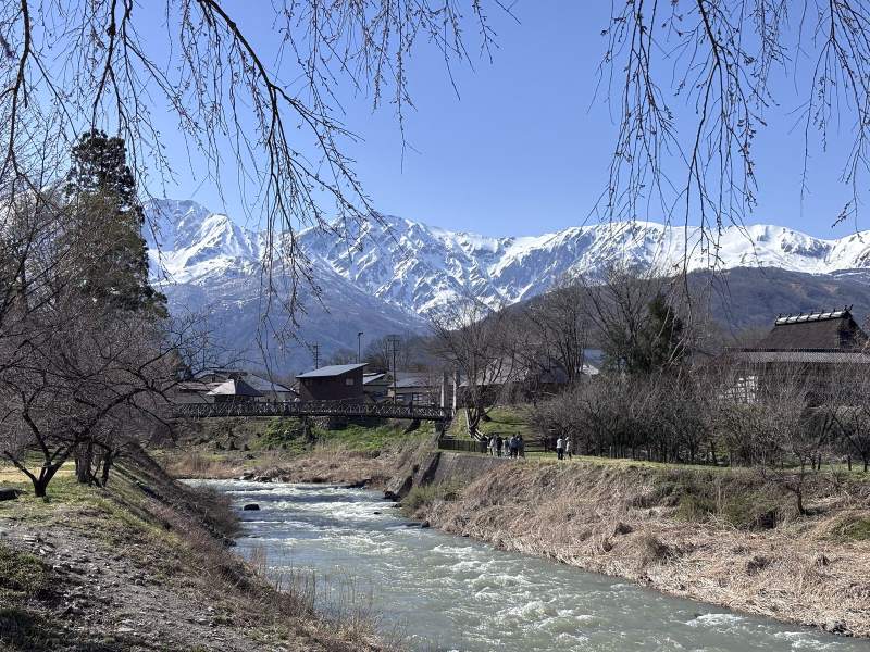 14:48,大出公園,還沒長葉的枝條後面是姬川、大出吊橋和雪山。