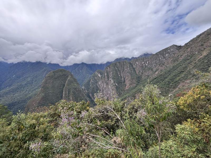 13:21,山上的灌木叢往下看,雲壓在山谷上方。